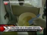 Protein Ve E Vitamini Deposu