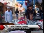 Şimdi Balık Zamanı