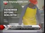 Orta Vadeli Program