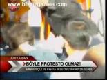 Böyle Protesto Olmaz!