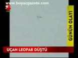Uçan Leopar Düştü
