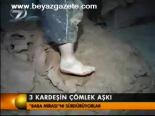 3 Kadeşin Çömlek Aşkı