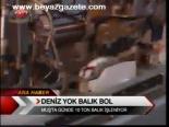Deniz Yok Balık Bol