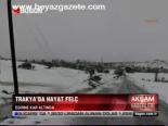 Trakya'da Hayat Felç