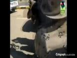 Kaddafi Böyle Linç Edildi