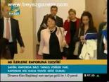 Ab İlerleme Raporuna Eleştiri