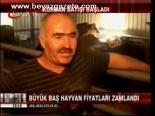 Kurban Satışı Başladı