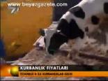 Kurbanlık Fiyatları