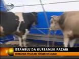 İstanbul'da Krubanlık Pazarı