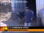İl İl Kurbanlık Fiyatı