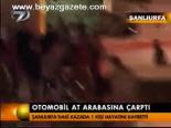 Otomobil At Arabasına Çarptı
