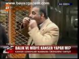 Balık Ve Midye Kanser Yapar Mı?