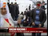 Van'dan Kaçan Kaçana!