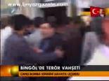 Bingöl'de Terör Vahşeti
