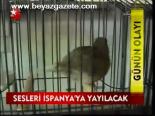 Sesleri İspanya'ya Yayılacak