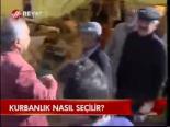 Kurbanlık Nasıl Seçilir?