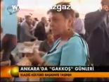 Ankara'da Gakkoş Günleri