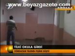 Tilki Okula Girdi