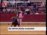 Bu Sefer Boğa Kazandı