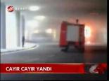 Cayır Cayır Yandı