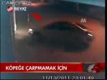 Köpeğe Çarpmamak İçin