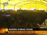 Modern Kurban Pazarı