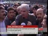 İthal Hayvan Eylemi