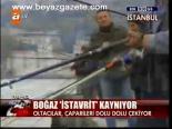 Boğaz İstavrit Kaynıyor