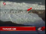 Tsunami Gibi