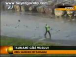 Tsunami Gibi Vurdu!