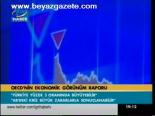 Oecd'nin Ekonomik Görünüm Raporu