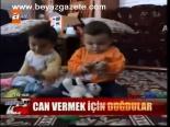 Can Vermek İçin Doğdular