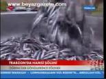 Trabzon'da Hamsi Şöleni