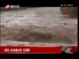 Sel Kabus Gibi