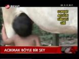 Acıkmak Böyle Bir Şey