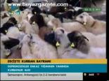 Erciş'te Kurban Bayramı