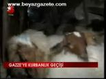 Gazze'ye Kurbanlık Geçişi