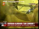 Kurban Almanın Tam Zamanı!