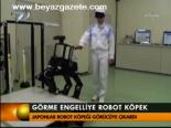 Görme Engelliye Robot Köpek