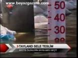 Tayland Sele Teslim