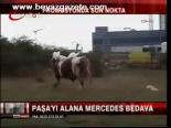 Paşa'yı Alana Mercedes Bedava