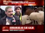 Kurbanlıklar Elde Kaldı