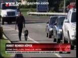 Robot Rehber Köpek