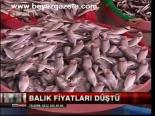 Balık Fiyatları Düştü