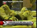 Derilerin Üçte Biri Heba Oluyor
