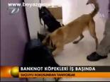 Banknot Köpekleri İş Başında
