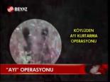 Ayı Operasyonu