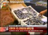Lüfer 15 Liraya Düştü