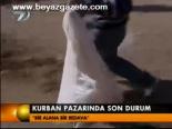 Kurban Pazarında Son Durum
