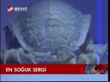 En Soğuk Sergi